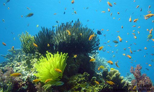 夢島(Koh Bon ; เกาะบอน)，又稱蹦島，是人煙稀少的小島（圖片來源：普吉府官網）